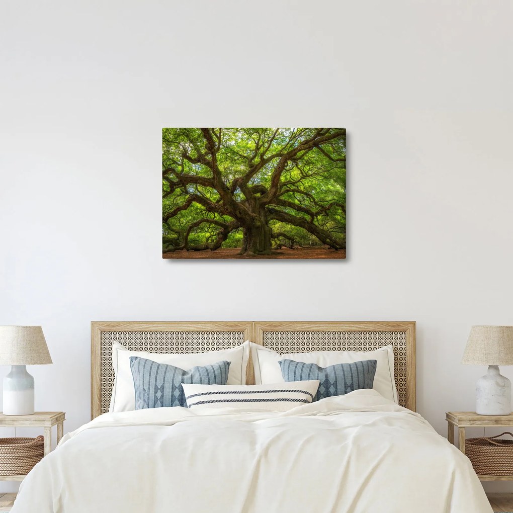 Tablou - Copac verde (70x50 cm)