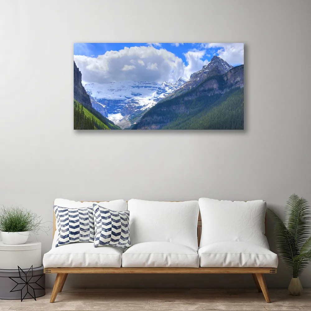 Tablou pe panza canvas Munții Peisaj Gri Albastru Alb Verde