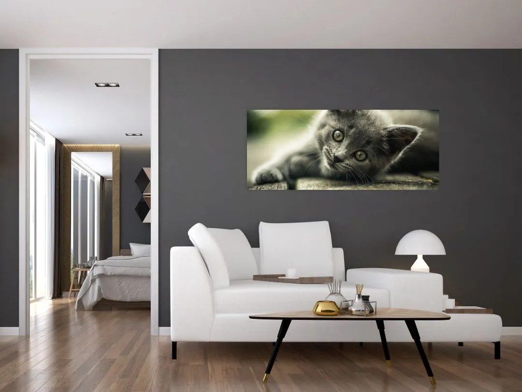 Tablou cu pisicuța (120x50 cm)