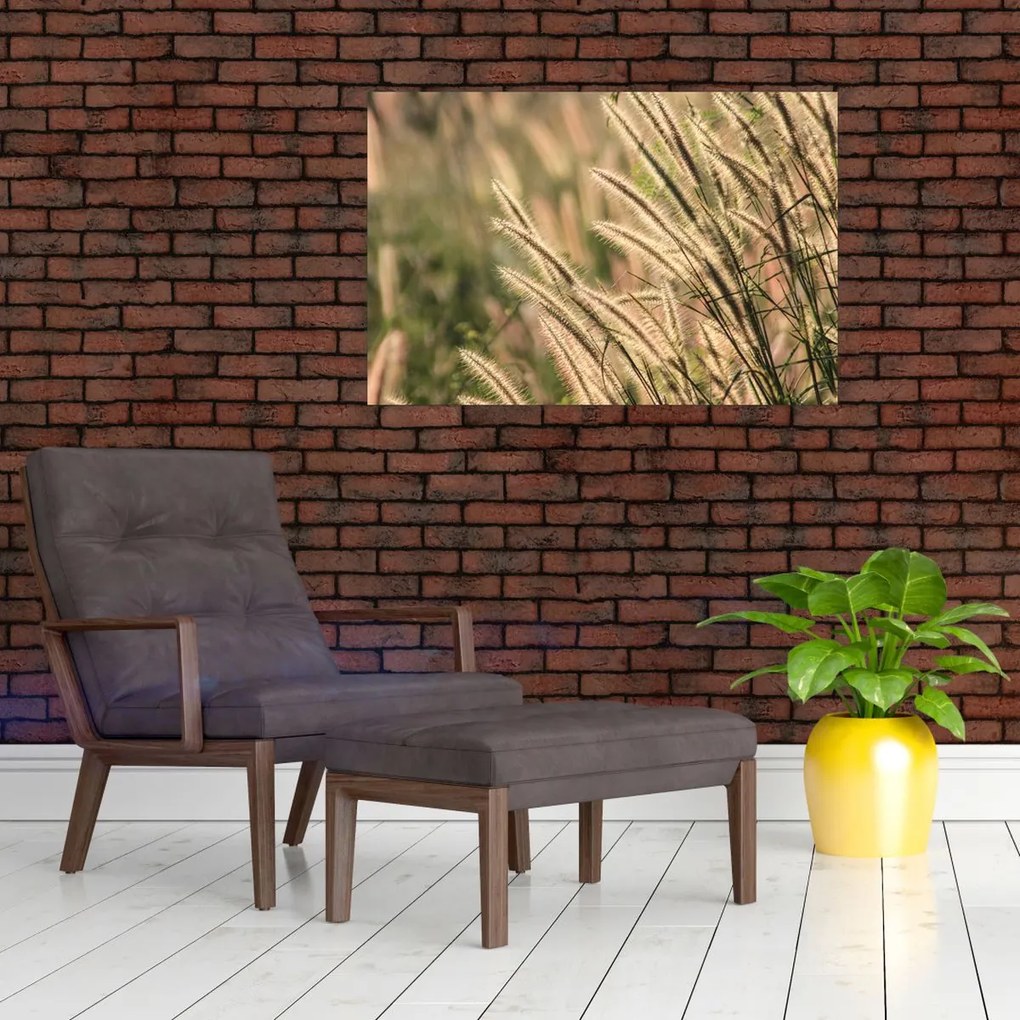 Tablou - Cereale (90x60 cm)