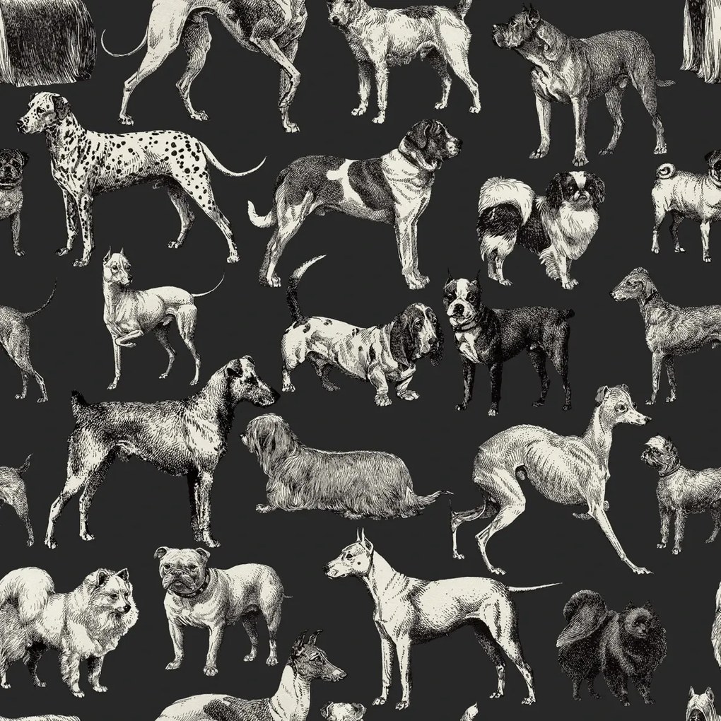 Fototapet, Dogs, Harlequin, Rebel Walls