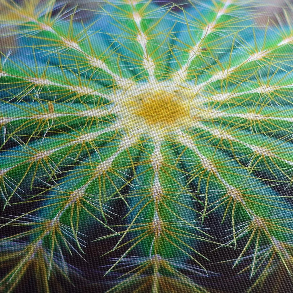 Tablou cu cactus (cu ceas) (90x30 cm)