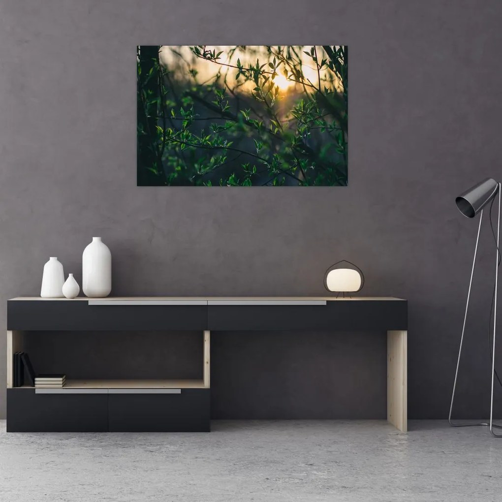 Tablou - Soarele strălucind printre crengile copacilor (90x60 cm)