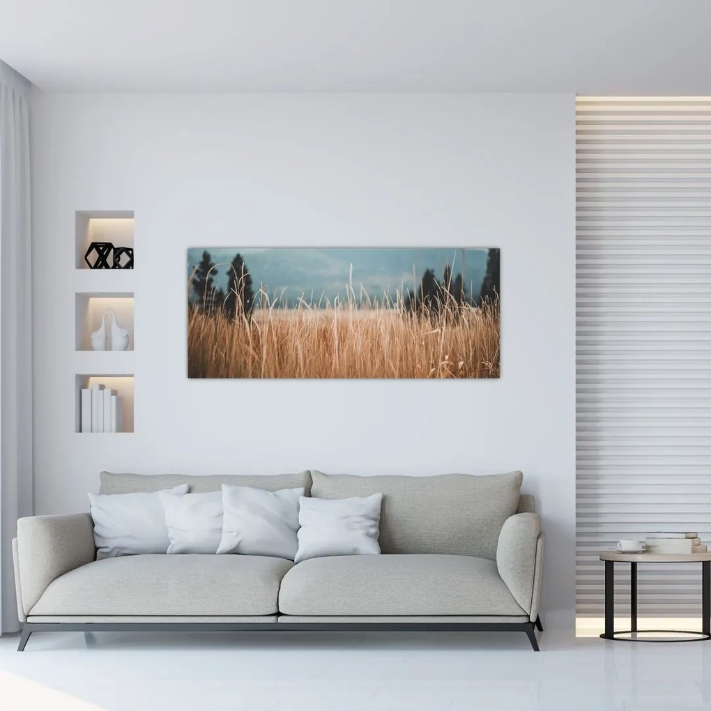 Tablou - detaliu spațiului de luncă (120x50 cm)