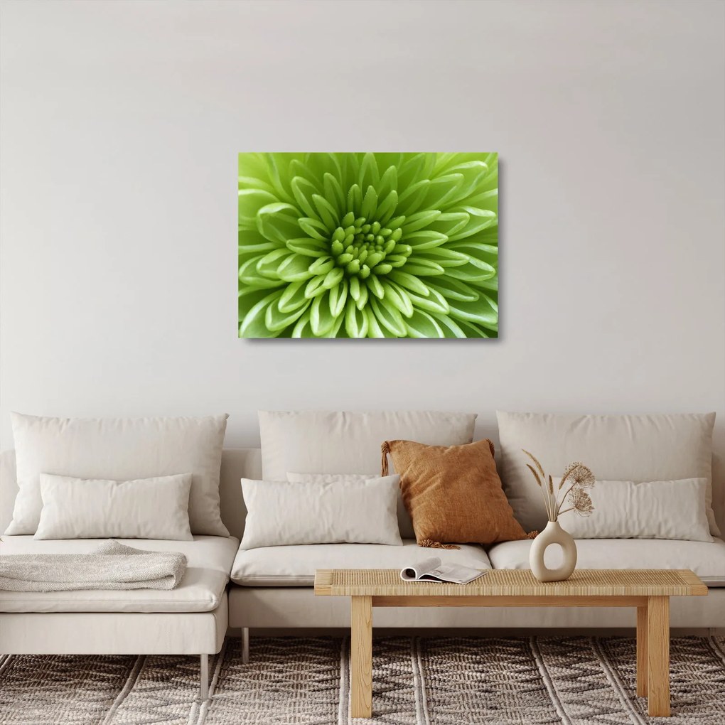 Tablou pe sticlă - Imagine macro a unei plante (70x50 cm)