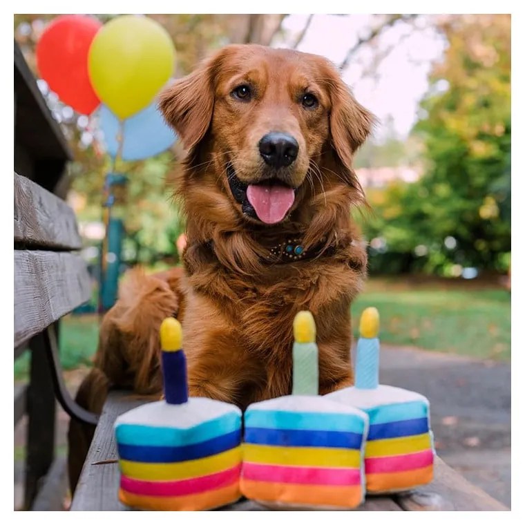 Jucărie pentru câine Birthday cake – P.L.A.Y.