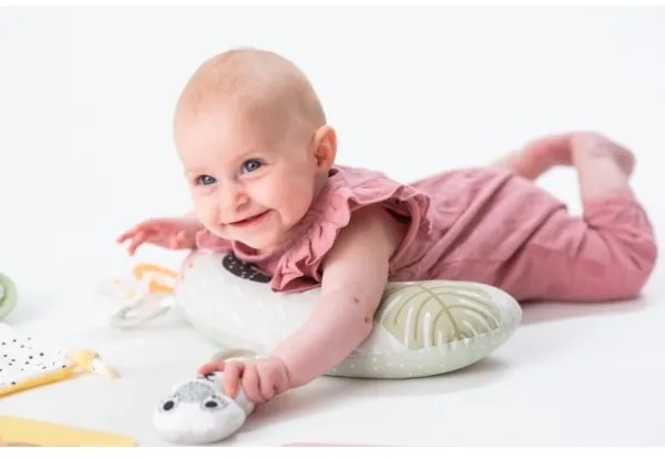 Cutie cadou HELLO BABY Taf Toys