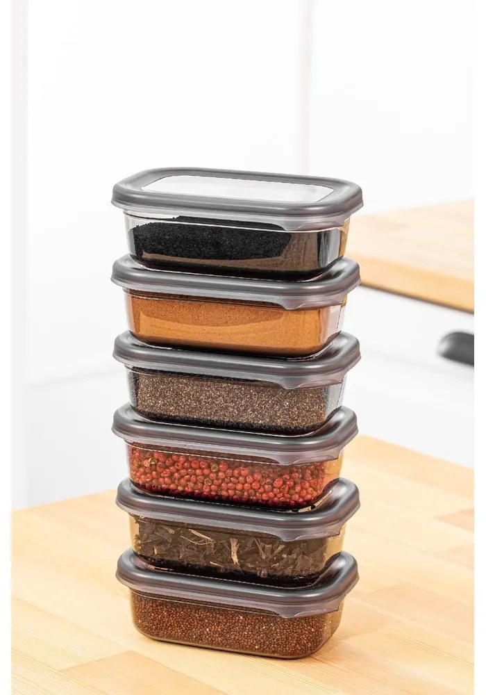 Recipiente 6 buc. pentru alimente Fresco – Hermia