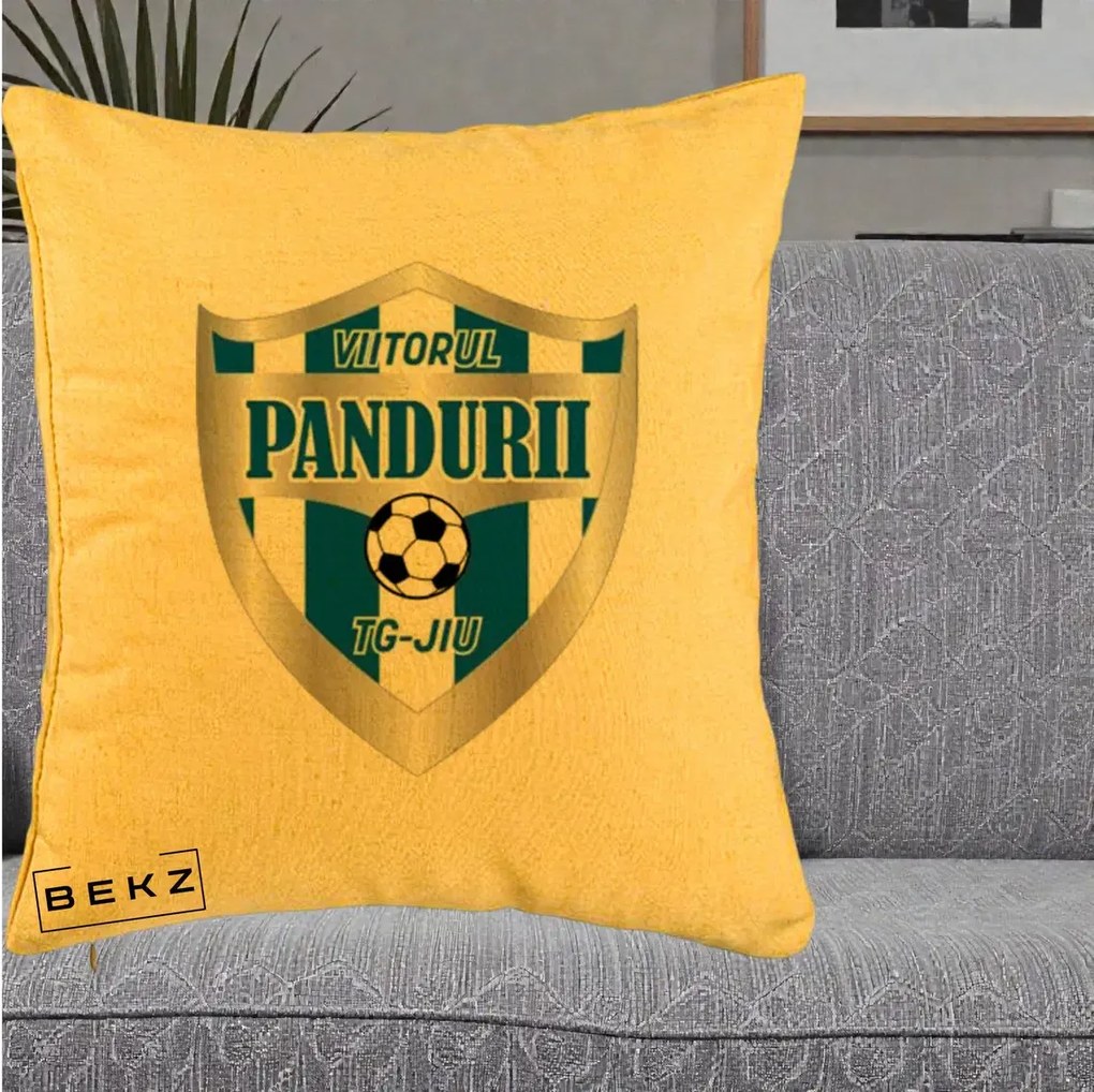 Perna Personalizata Pandurii Targu Jiu Fotbal, 40x40 cm, Galben, Husa Detasabila, Perna Inclusa, BEKZ®
