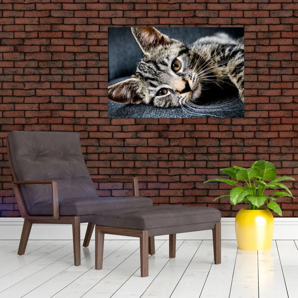 Tablou - Pisoi (90x60 cm)