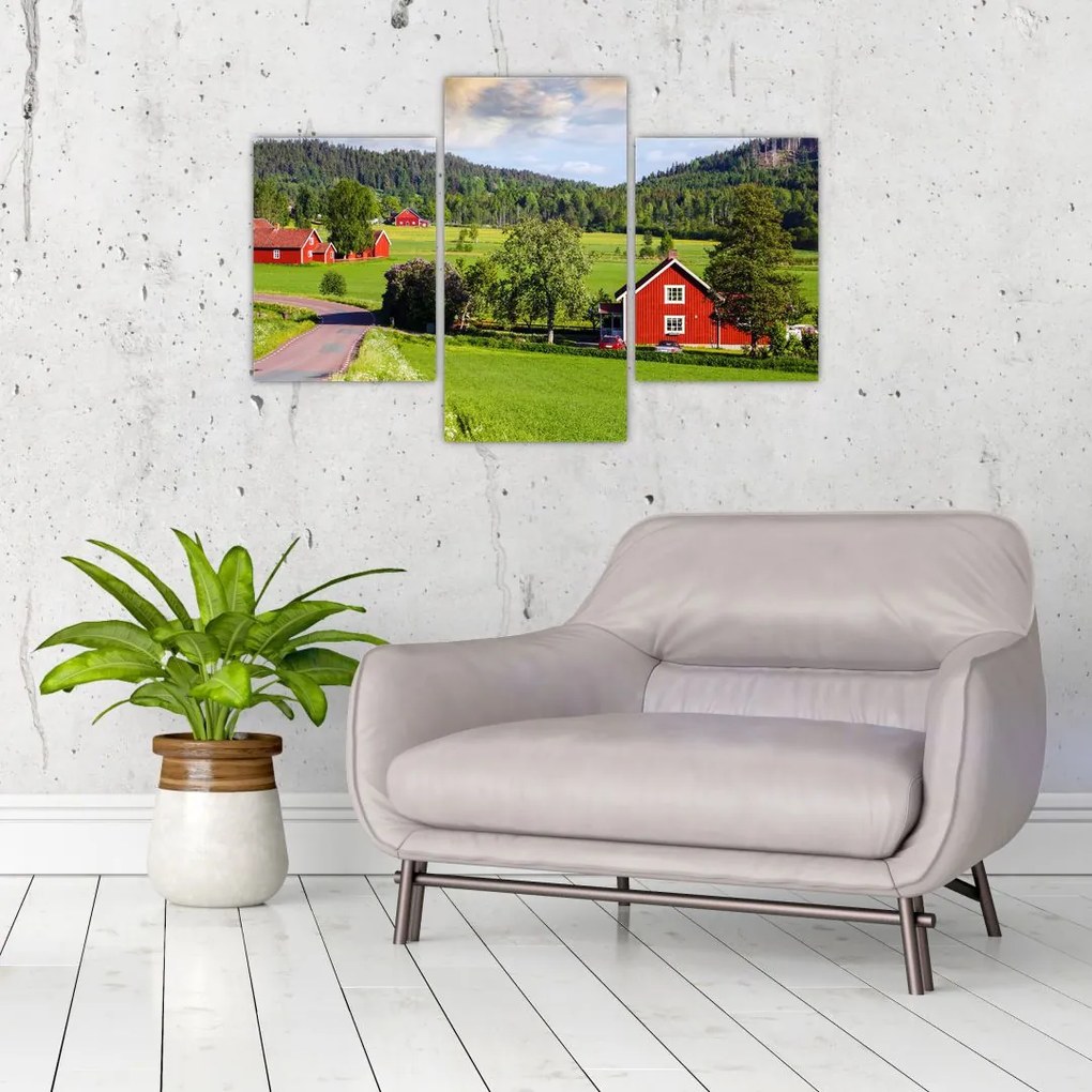 Tabloul cu țară (90x60 cm)