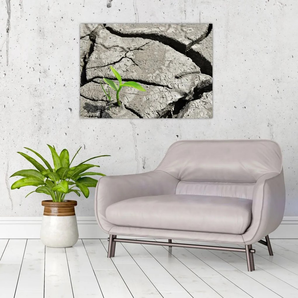 Tablou - Fisuri (70x50 cm)