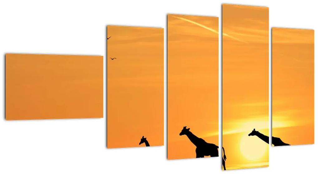 Tablou modern - girafe (110x60cm)