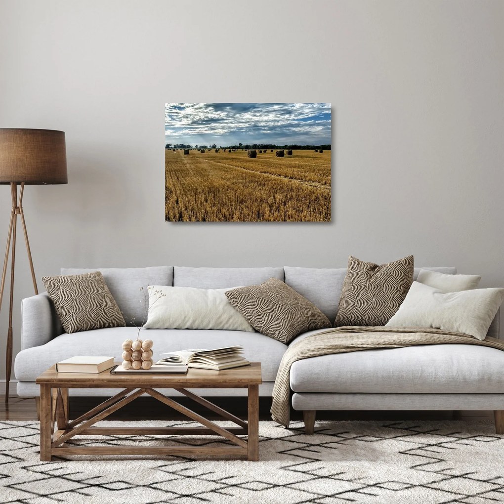 Tablou pe sticlă cu câmp recoltat (70x50 cm)