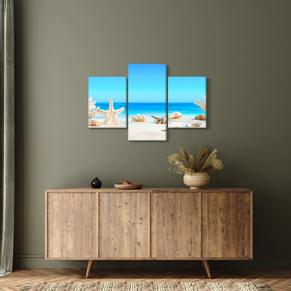 Tablou - Natura morta cu scoici (90x60 cm)