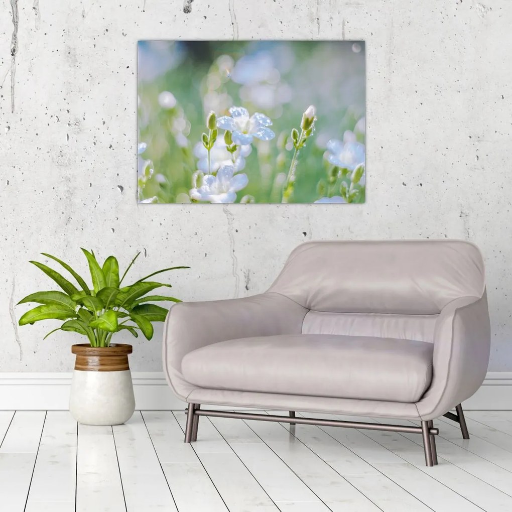 Tablou pe sticlă - Flori delicate (70x50 cm)