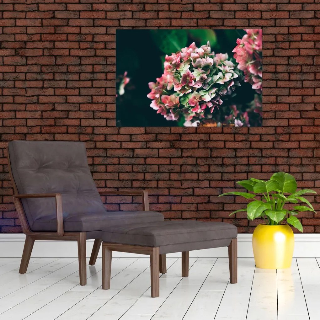 Tablou - Hortensie (90x60 cm)