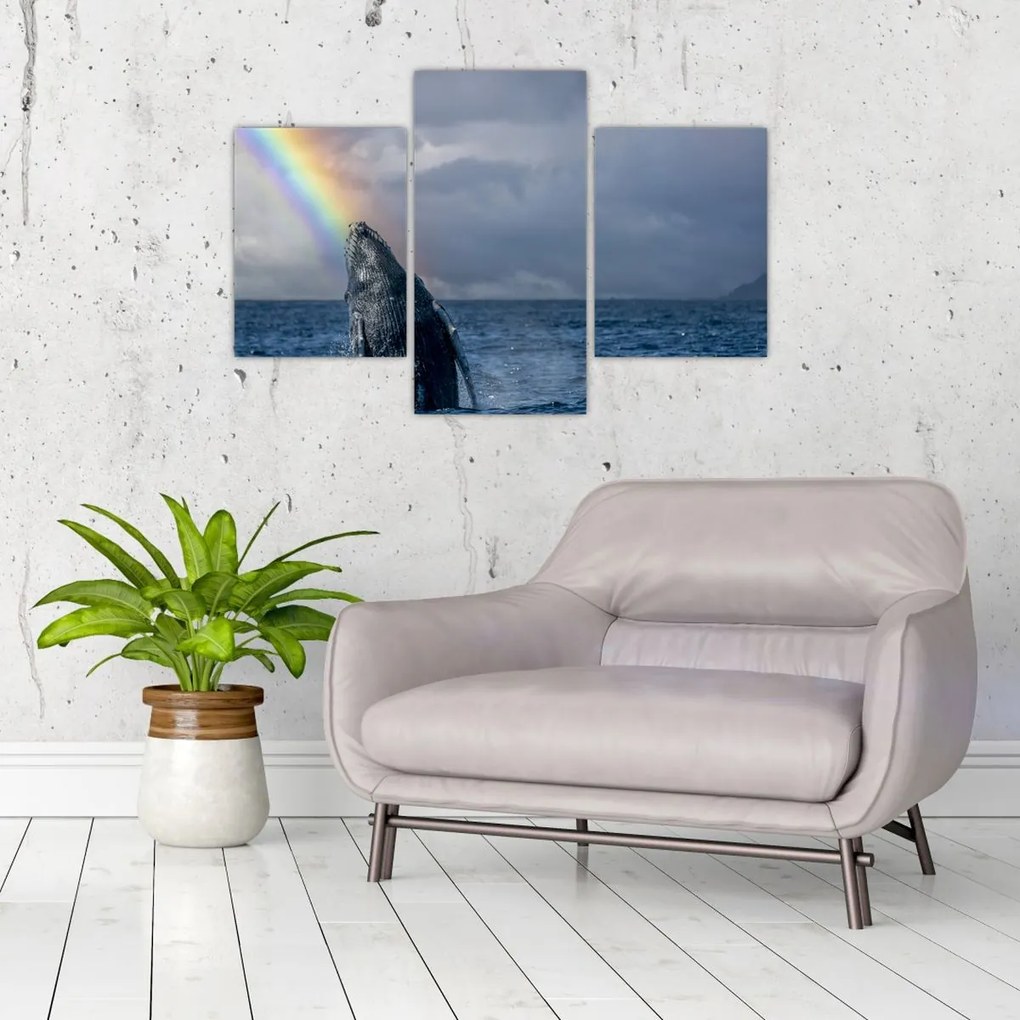 Tablou - Cocoșatul (90x60 cm)