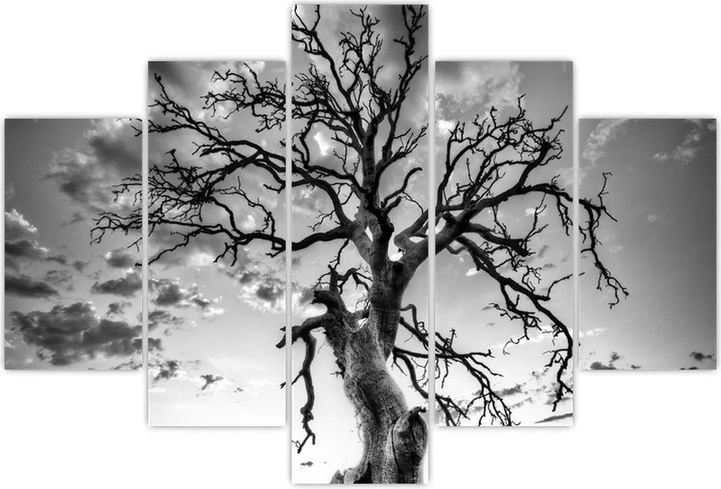 Tablou - Copacul, alb-negru (150x105 cm)