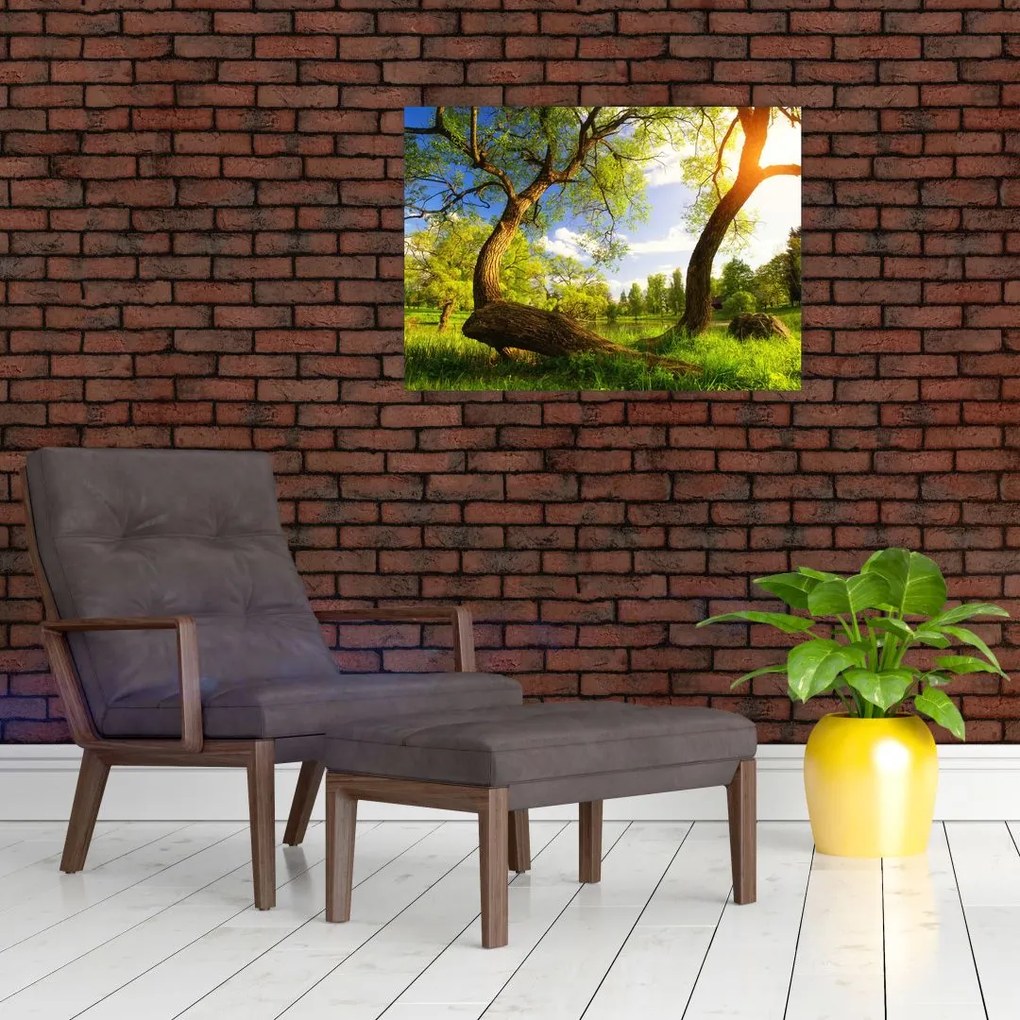 Tablou pe sticlă lunca ne primăvară (70x50 cm)