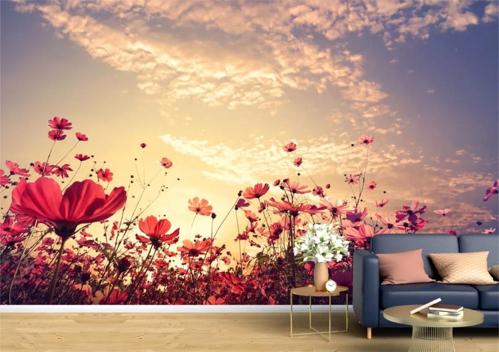 Tapet Premium Canvas - Flori rosii in lumina rasaritului