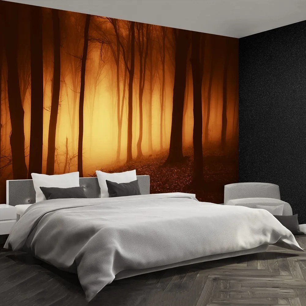 Fototapet O Forest Scary