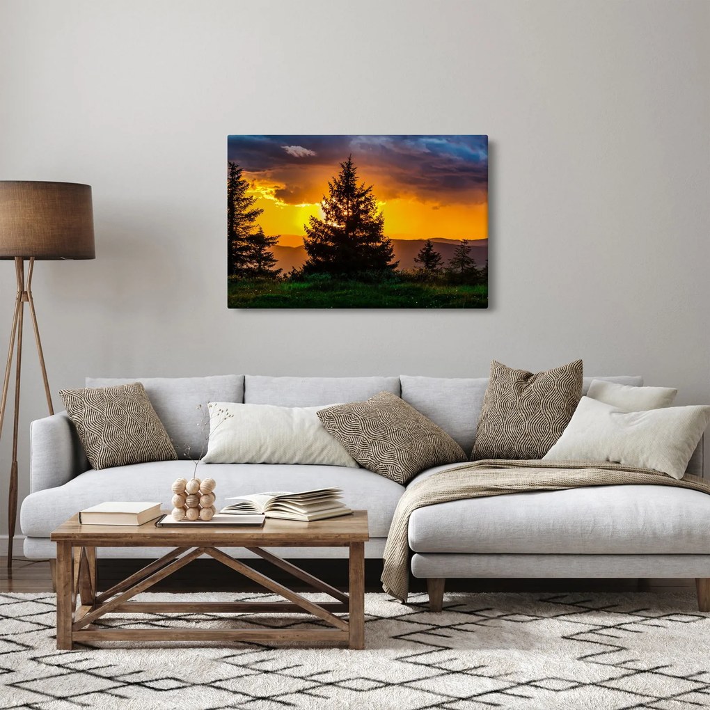 Tablou - coniferi (90x60 cm)