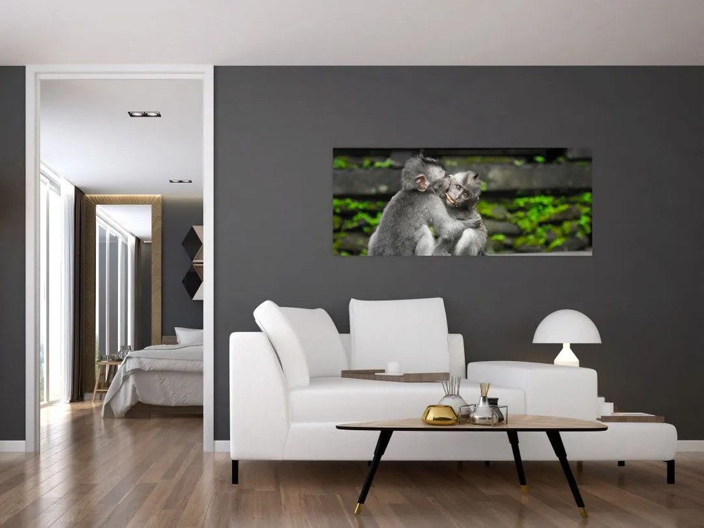 Tablou - maimuțica (120x50 cm)