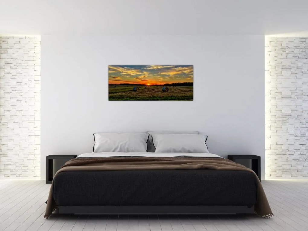 Tablou - Baloți din sat (120x50 cm)
