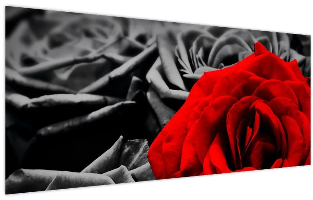 Tablou - Trandafir (120x50 cm)