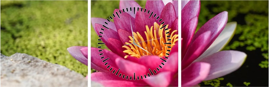 Tablou - Lotus (cu ceas) (90x30 cm)