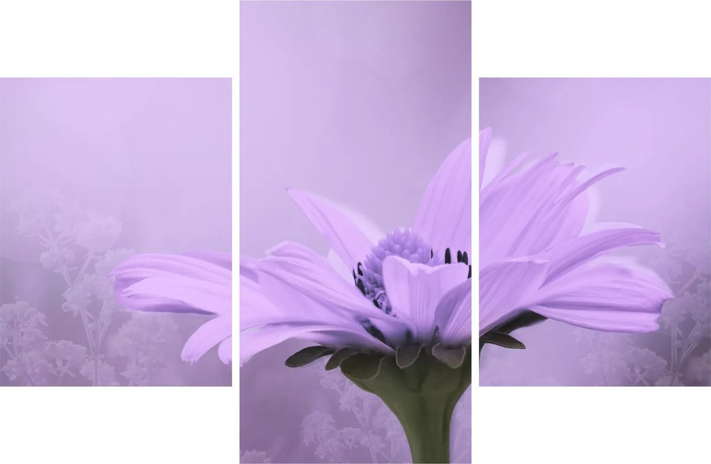 Tablou - Flori mov (90x60 cm)