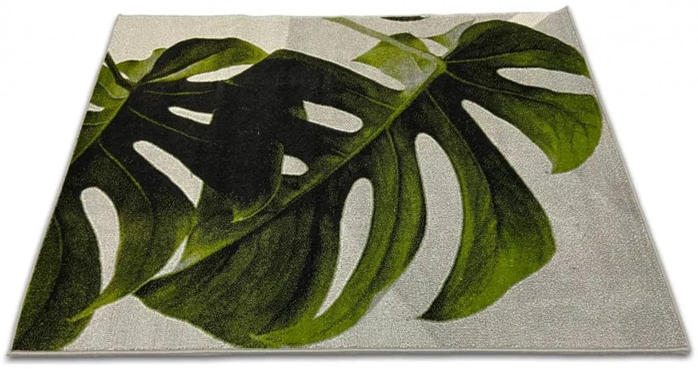 Covor Modern Kolibri 11290