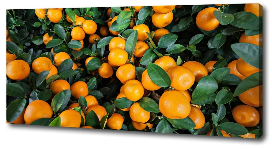 Print pe pânză Mandarine