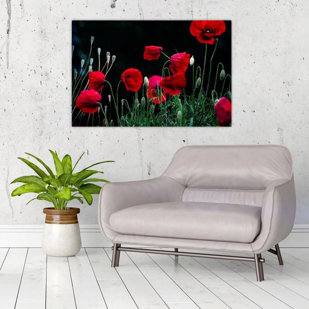 Tablou - Dansul macilor (90x60 cm)