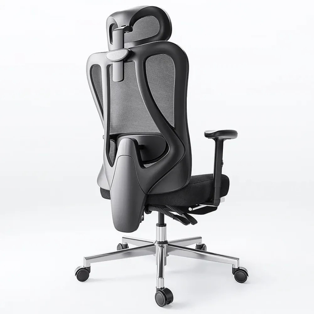 HBADA P3 Scaun ergonomic, cu suport lombar reglabil, tetieră reglabilă 2D, cotiere reglabile 2D, pivotant, Negru