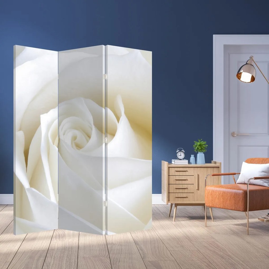 Paravan - Trandafir alb (126x170 cm)