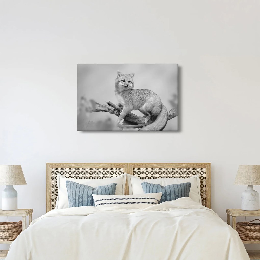 Tablou - Vulpe gri (90x60 cm)