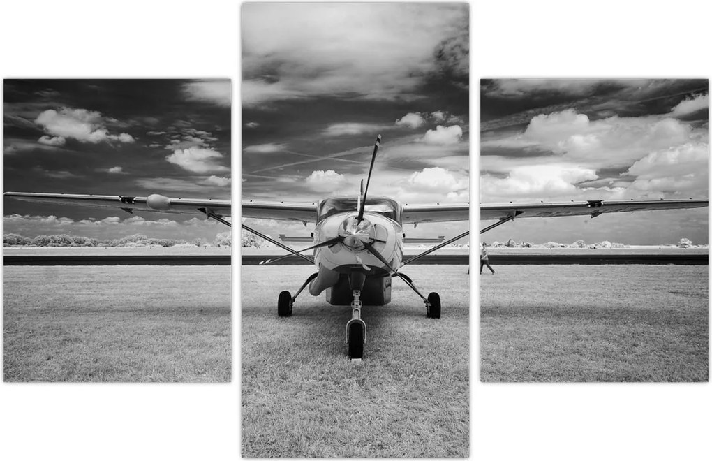 Tablou - Avion alb-negru și alb-negru (90x60 cm)