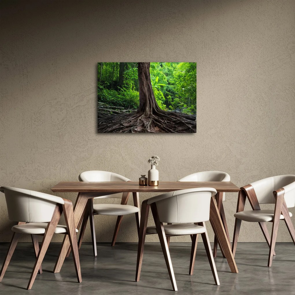 Tablou - Copac bătrîn cu rădăcini (70x50 cm)
