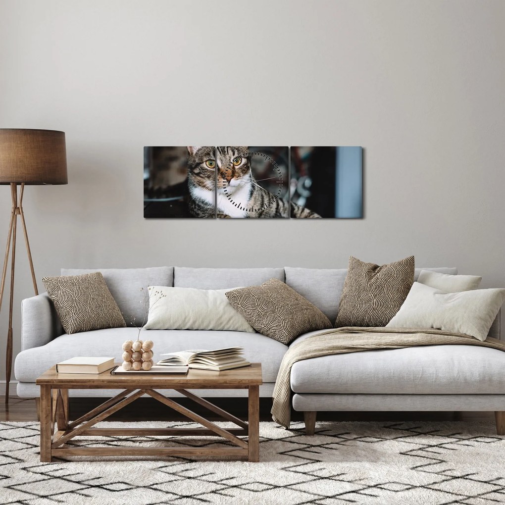 Tablou cu pisica (cu ceas) (90x30 cm)
