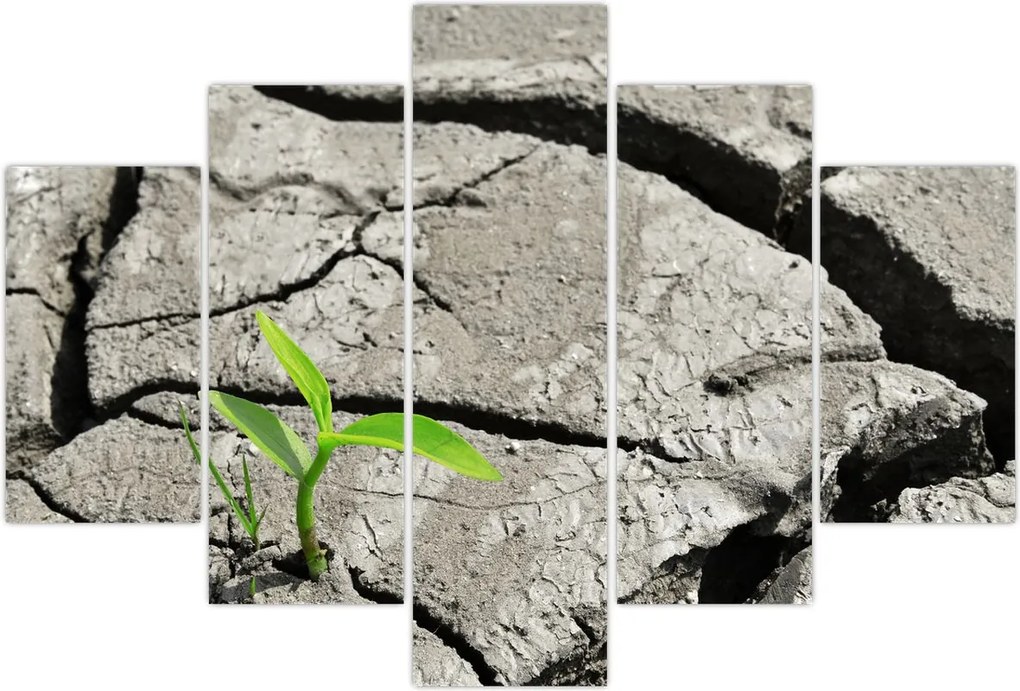 Tablou - Fisuri (150x105 cm)