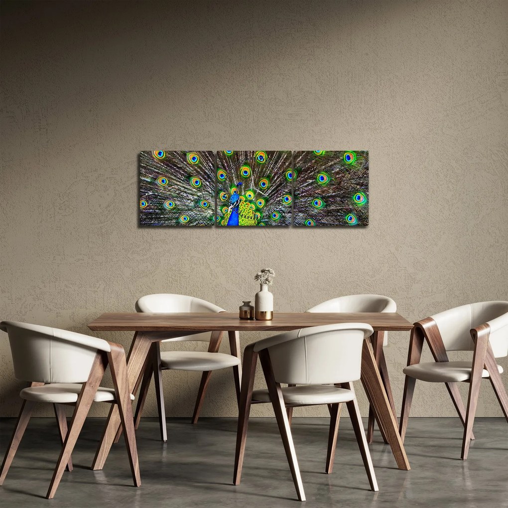 Tablou - Păun (cu ceas) (90x30 cm)