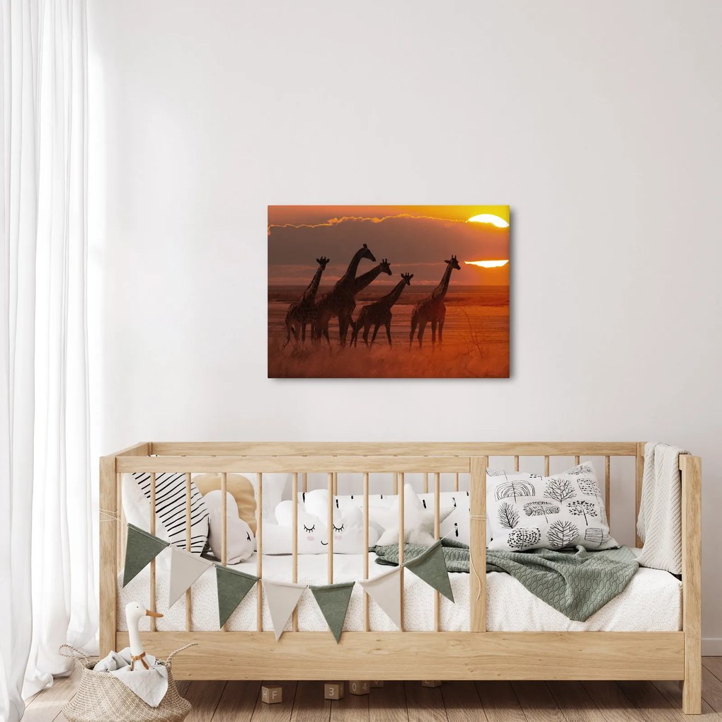 Tablou - Girafe în savana africană (70x50 cm)