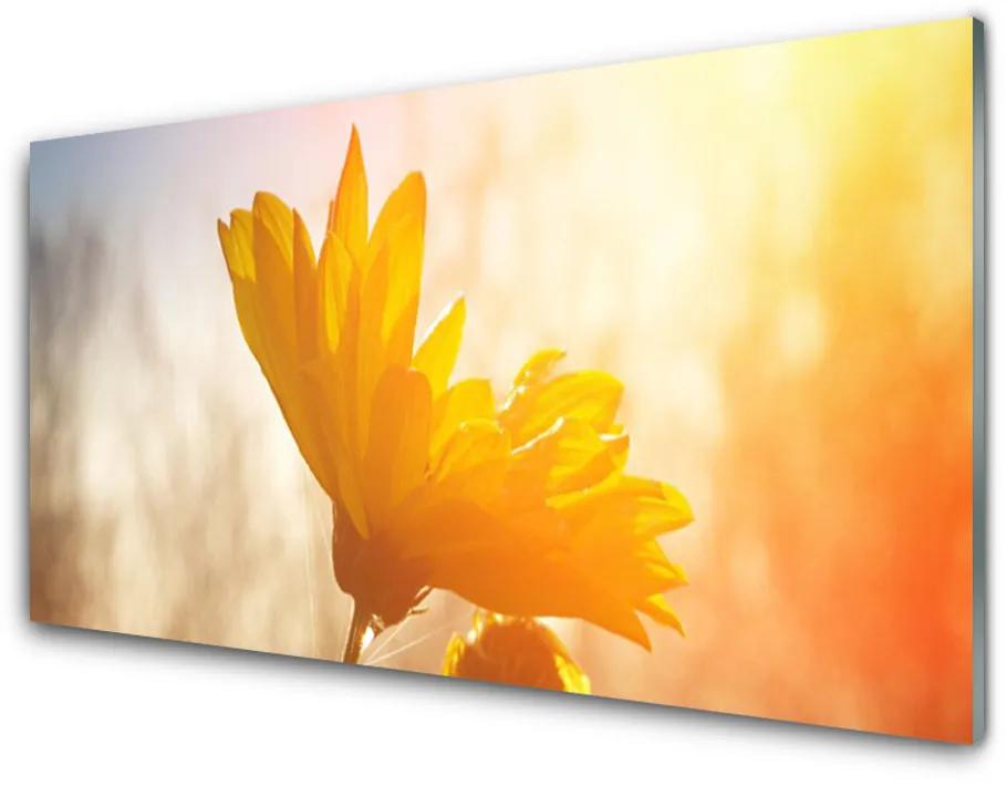 Tablou pe sticla acrilica Floarea soarelui Floral Galben