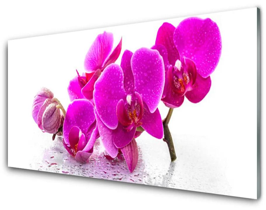 Tablou pe sticla acrilica Flori roz Floral
