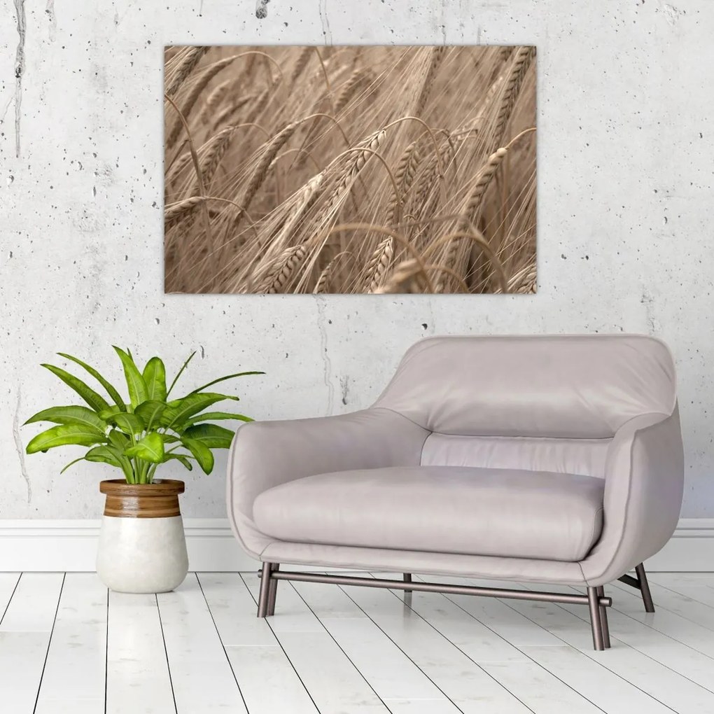 Tablou - Câmpul de aur (90x60 cm)