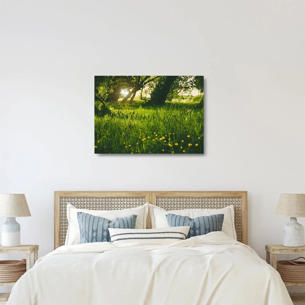 Tablou pe sticlă cu natura - lunca (70x50 cm)