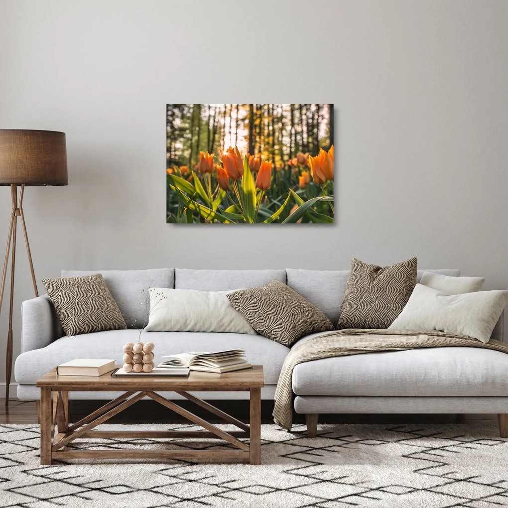 Tablou pe sticlă - florile lalelelor (70x50 cm)