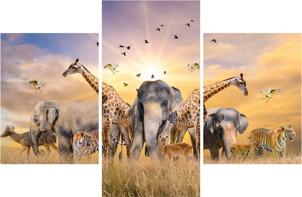 Tablou - Animae din Africa (90x60 cm)